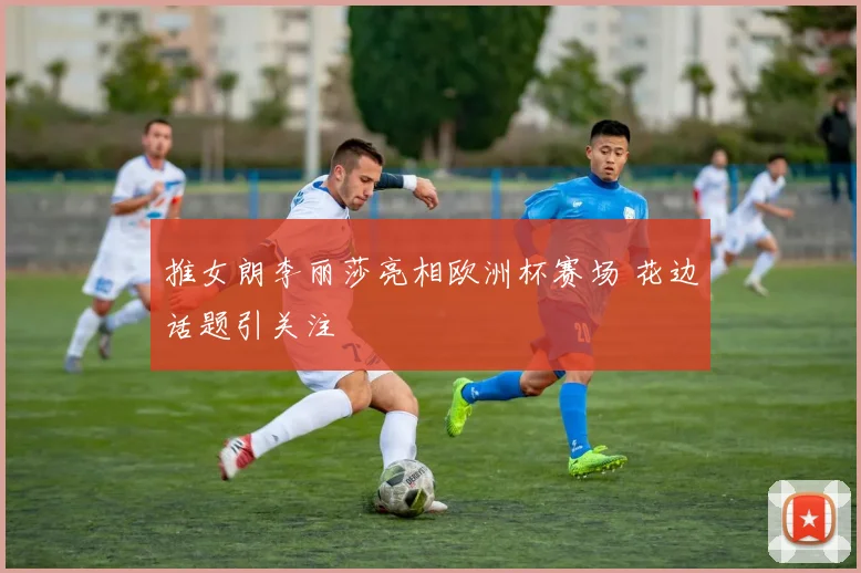 推女朗李丽莎亮相欧洲杯赛场 花边话题引关注