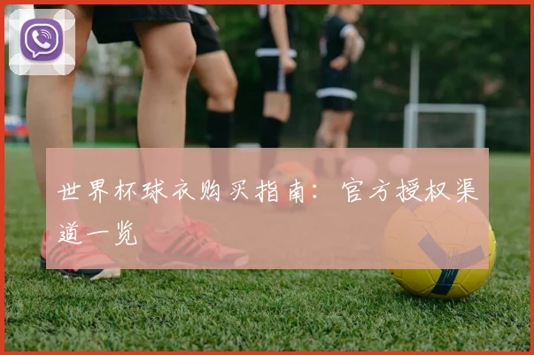 世界杯球衣购买指南：官方授权渠道一览